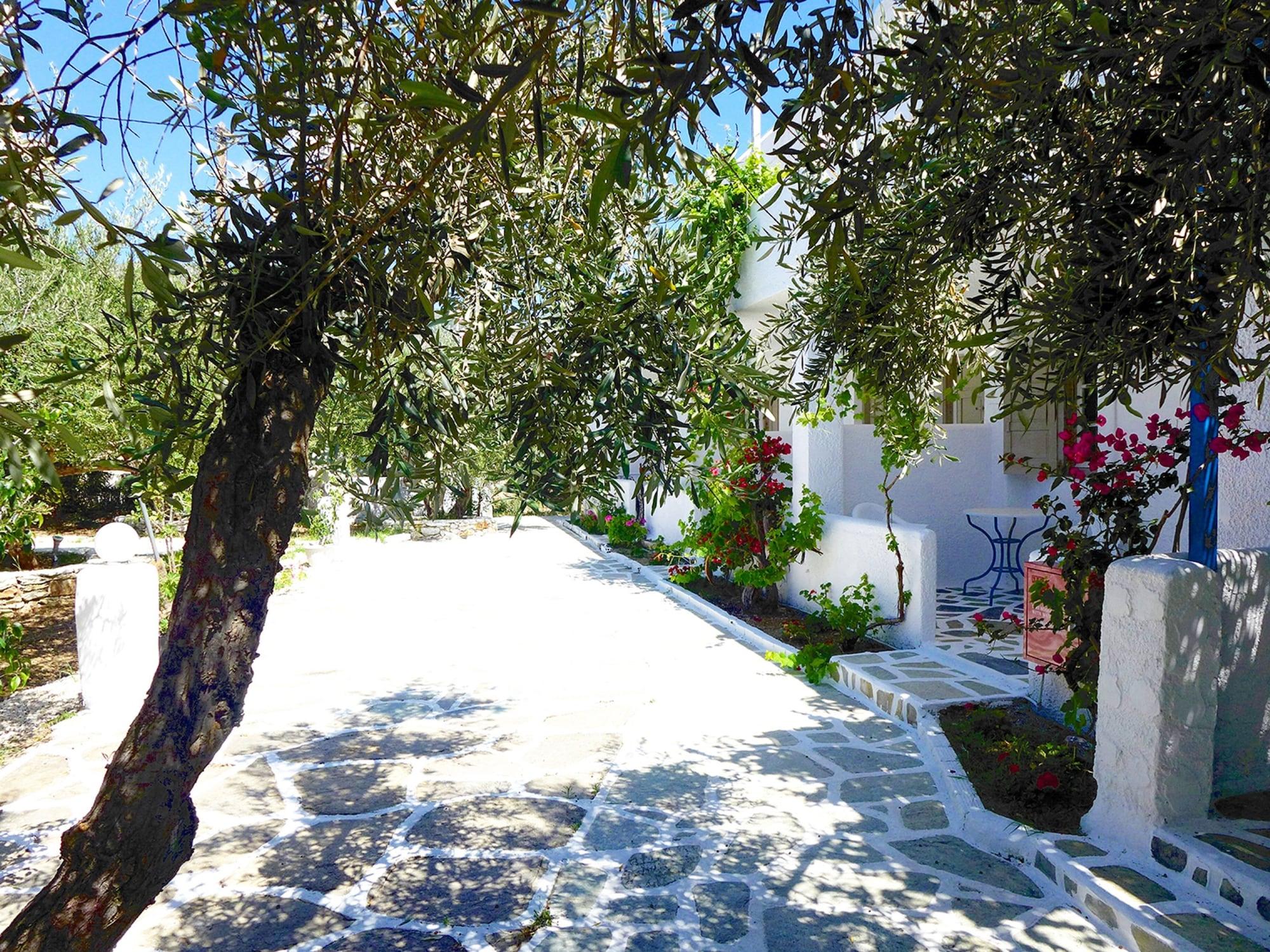 Amaryllis Beach Hotel Chrisi Akti  Exteriér fotografie